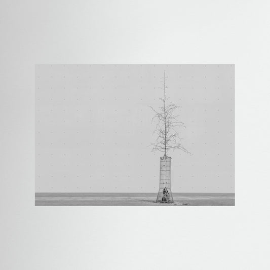 the tree by Klaus Lenzen