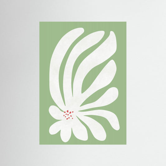 White Chrysanthemum Flower by Amini54