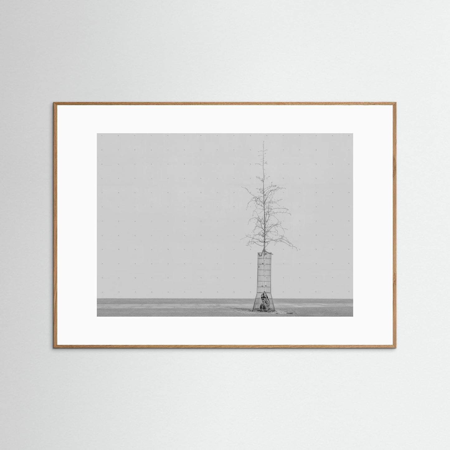 the tree by Klaus Lenzen