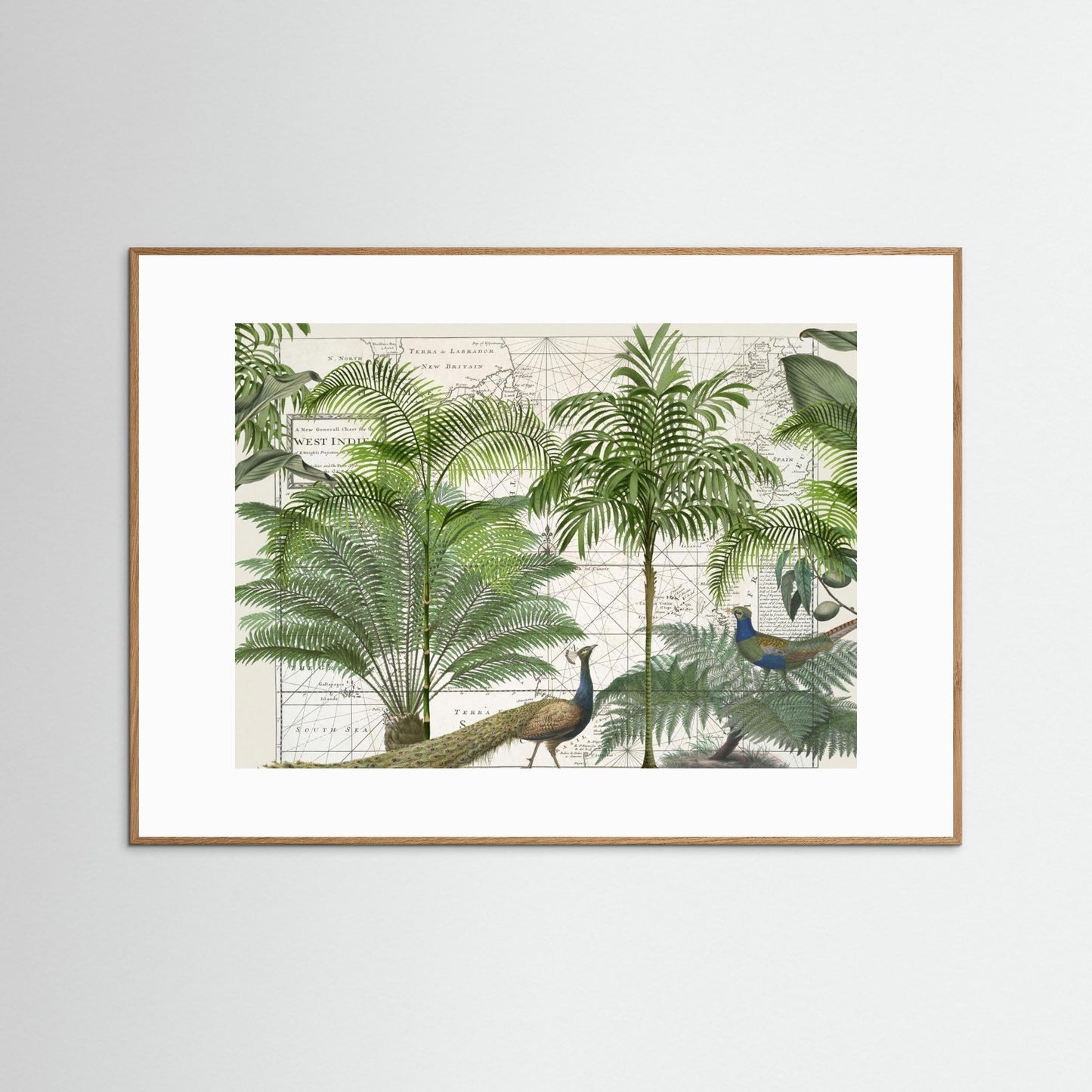 Tropical Empire No6 by Andrea Haase