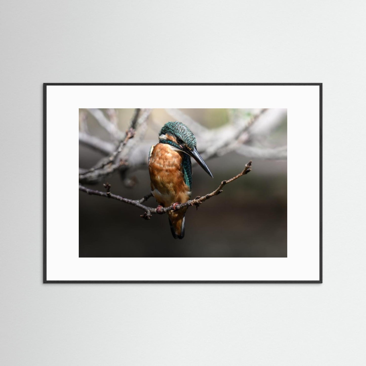 Beautiful Wildlife by Seiichi Tsuboya