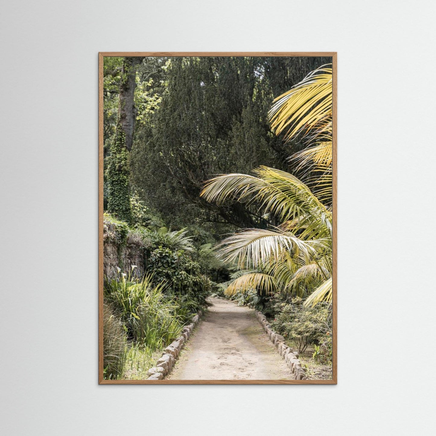 Tropical Walk by Henrike Schenk