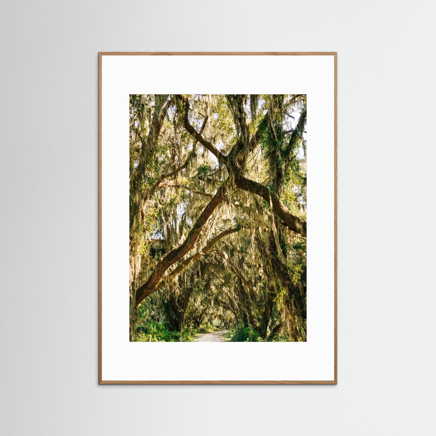 Savannah National Wildlife Refuge VII by Bethany Young
