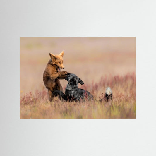 Playing by Jun Zuo