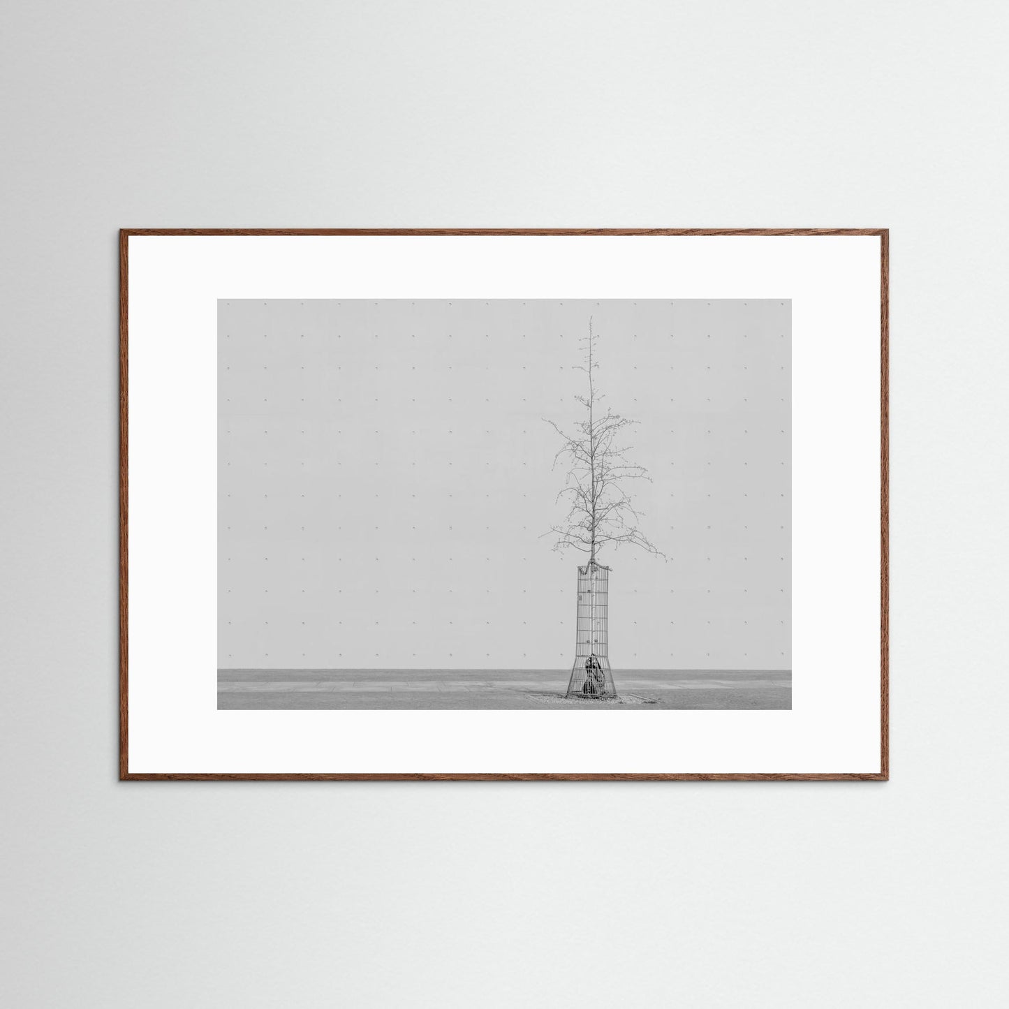 the tree by Klaus Lenzen