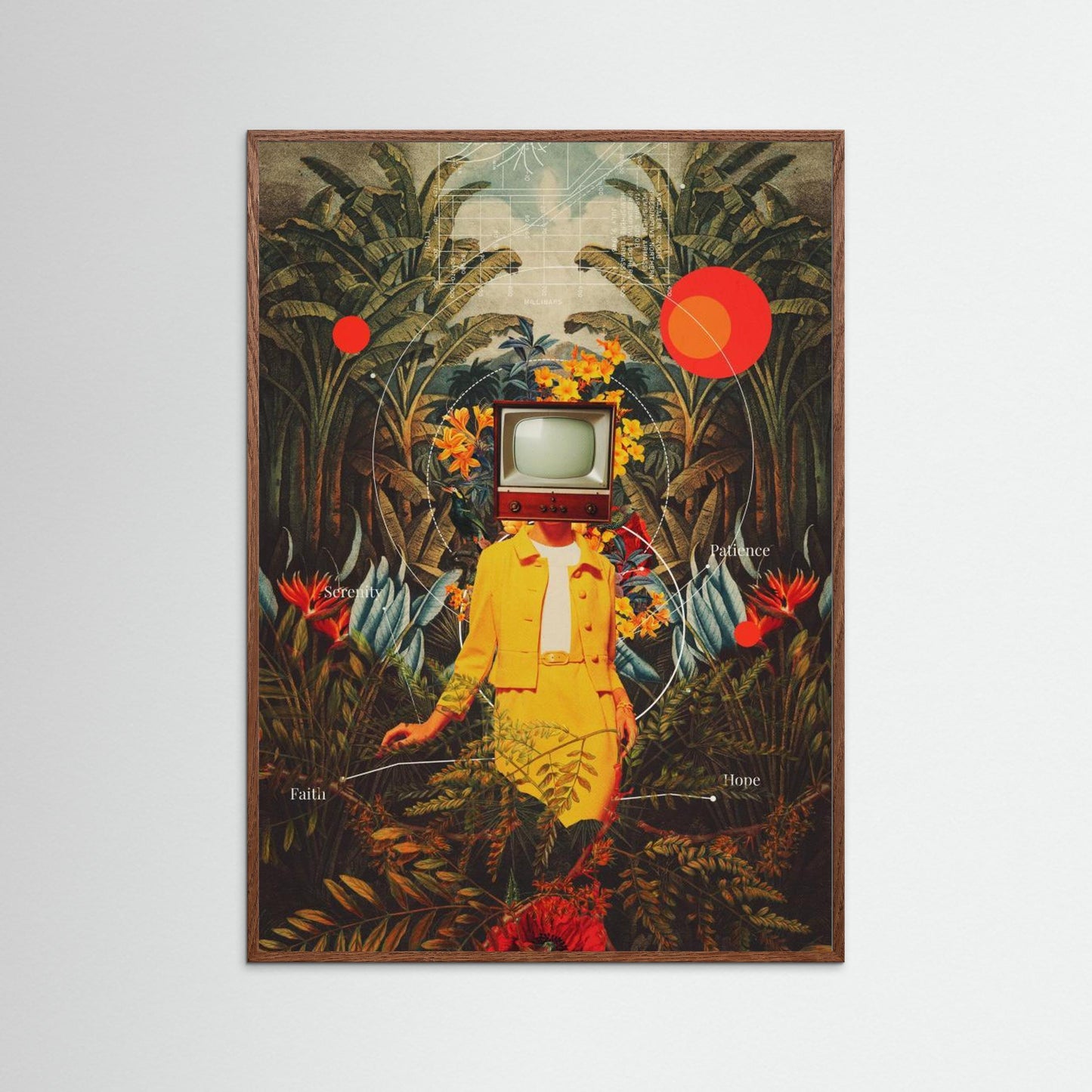 She Came From the Wilderness by Frank Moth
