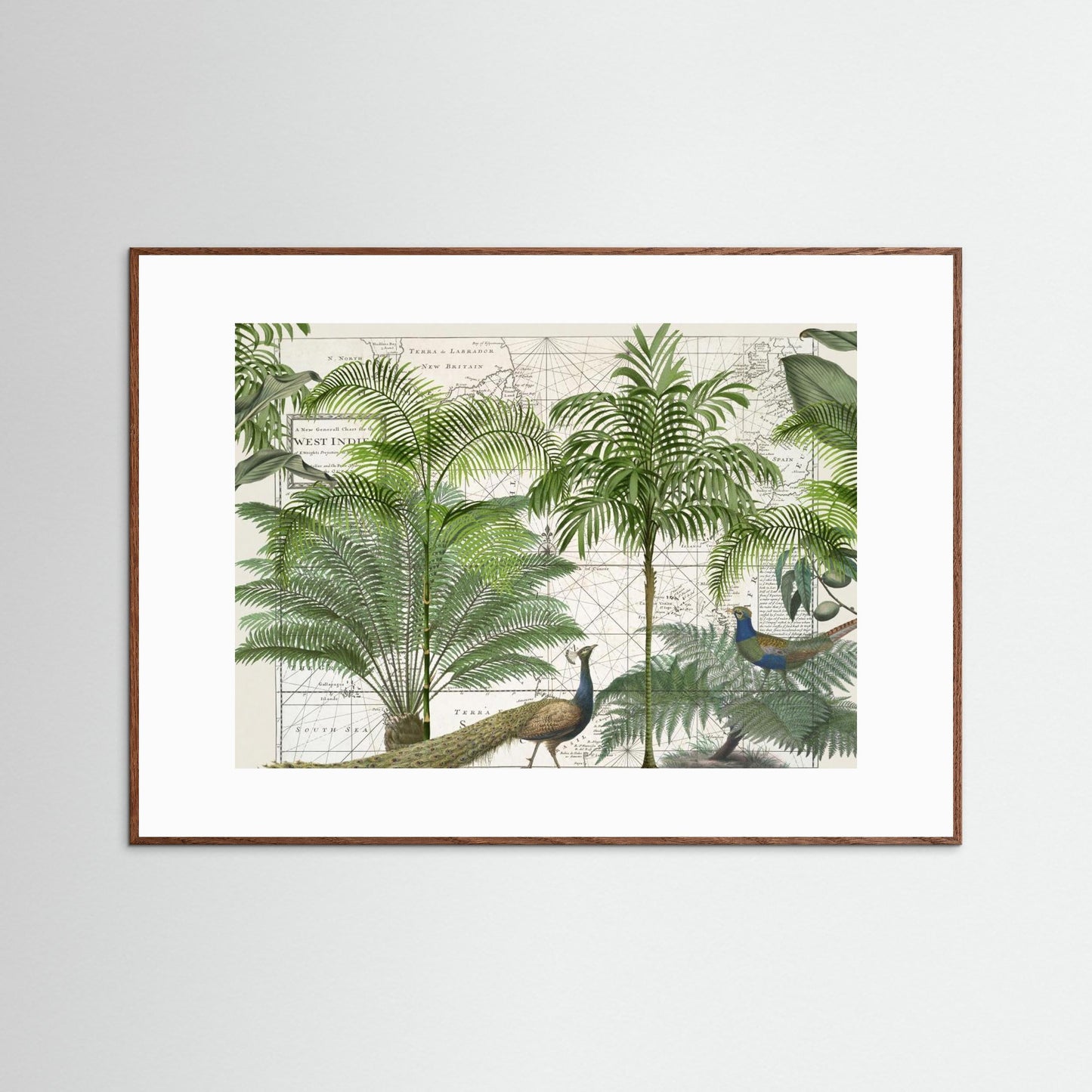 Tropical Empire No6 by Andrea Haase